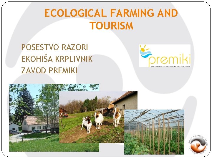 ECOLOGICAL FARMING AND TOURISM POSESTVO RAZORI EKOHIŠA KRPLIVNIK ZAVOD PREMIKI 