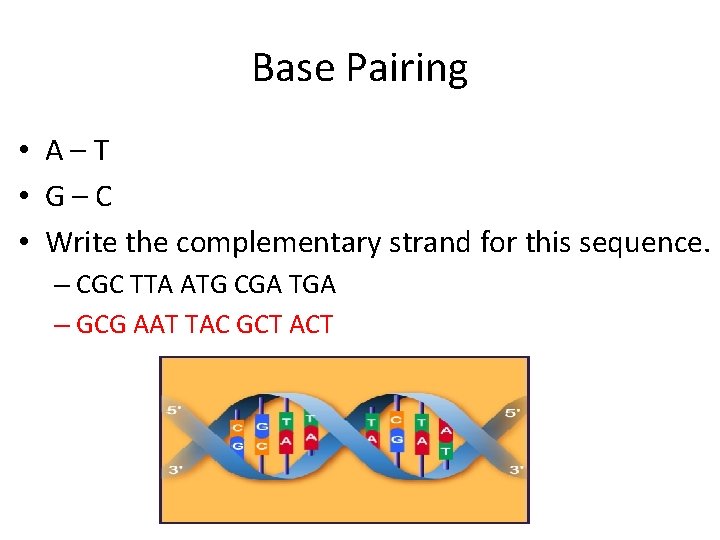 Base Pairing • A–T • G–C • Write the complementary strand for this sequence.