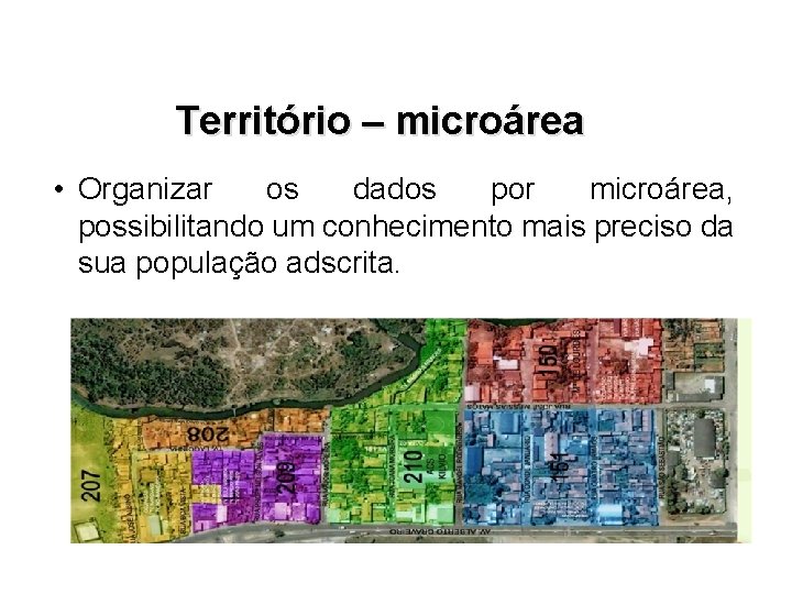 Território – microárea • Organizar os dados por microárea, possibilitando um conhecimento mais preciso