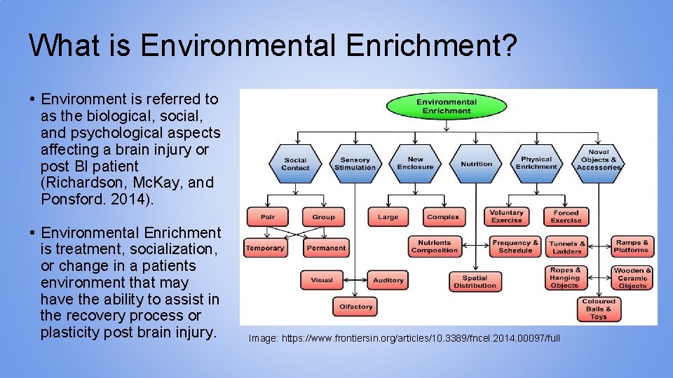What is Environmental Enrichment? • Environment is referred to as the biological, social, and