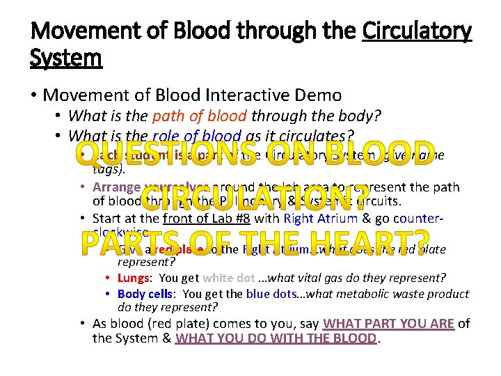 Movement of Blood through the Circulatory System • Movement of Blood Interactive Demo •