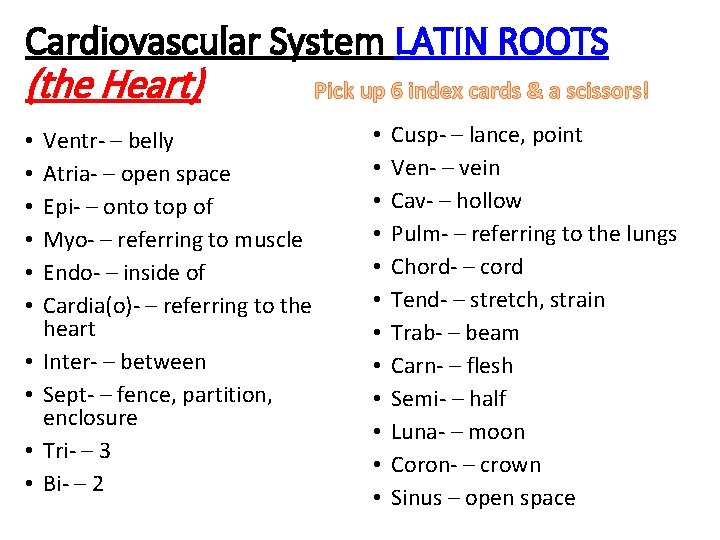 Cardiovascular System LATIN ROOTS (the Heart) • • • Ventr- – belly Atria- –