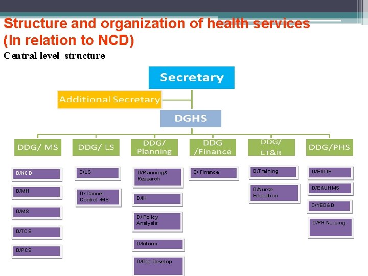 Structure and organization of health services (In relation to NCD) Central level structure D/NCD