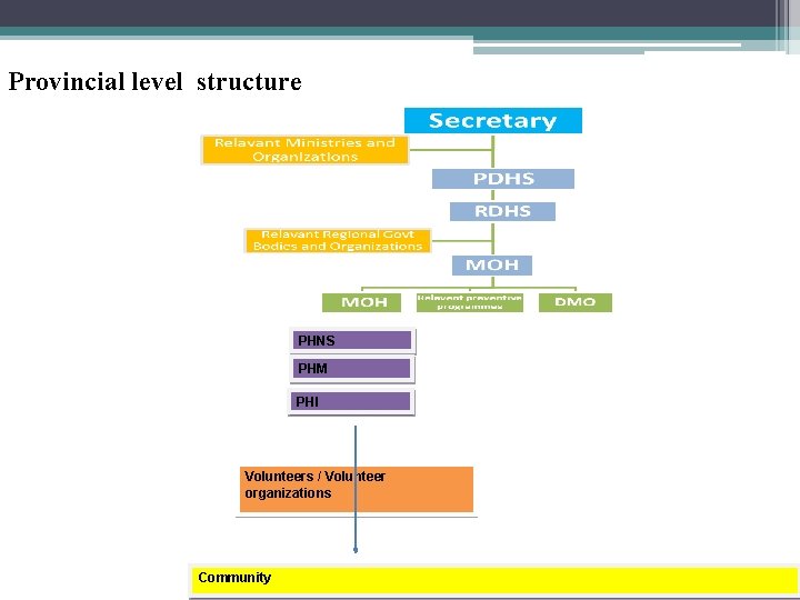 Provincial level structure PHNS PHM PHI Volunteers / Volunteer organizations Community Provincial level structure PHNS PHM PHI Volunteers / Volunteer organizations Community