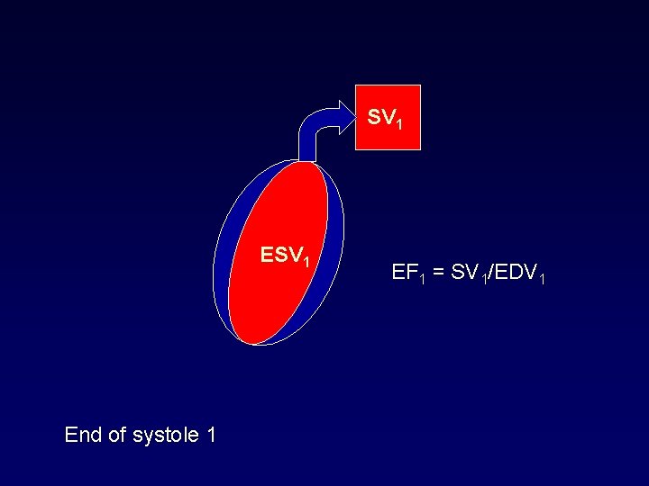 SV 1 End of systole 1 EF 1 = SV 1/EDV 1 