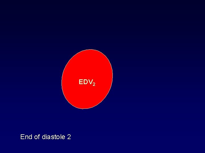 EDV 2 End of diastole 2 