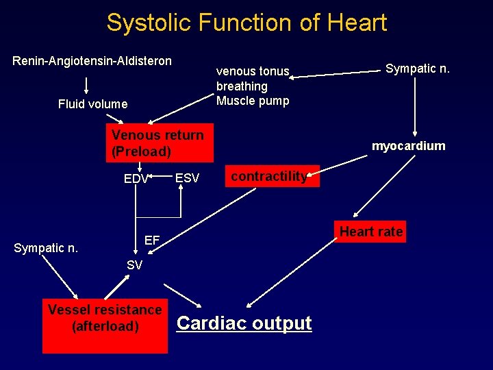 Systolic Function of Heart Renin-Angiotensin-Aldisteron venous tonus breathing Muscle pump Fluid volume Venous return
