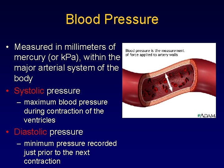 Blood Pressure • Measured in millimeters of mercury (or k. Pa), within the major