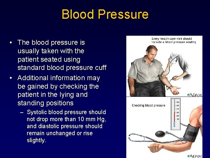 Blood Pressure • The blood pressure is usually taken with the patient seated using