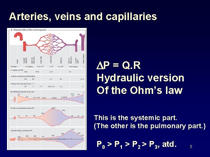Arteries, veins and capillaries DP = Q. R Hydraulic version Of the Ohm’s law