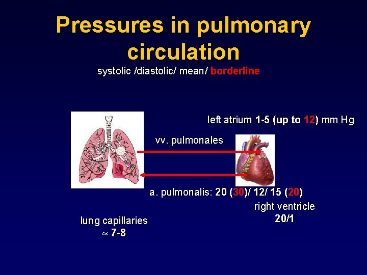 Pressures in pulmonary circulation systolic /diastolic/ mean/ borderline left atrium 1 -5 (up to