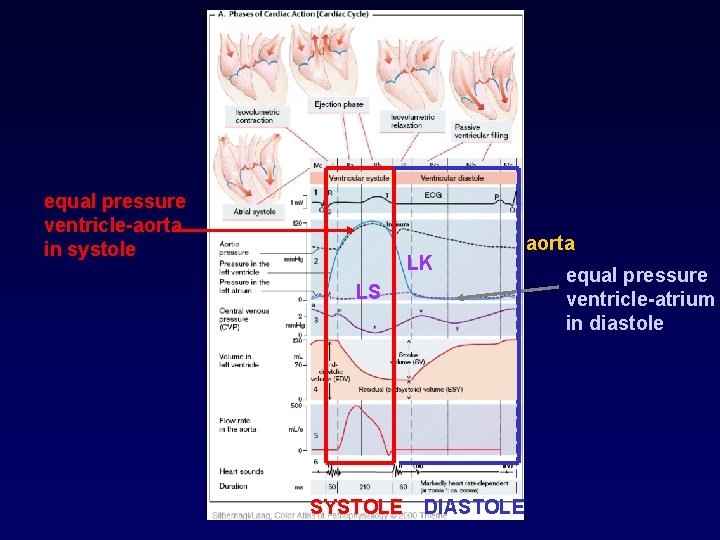 equal pressure ventricle-aorta in systole LK LS SYSTOLE DIASTOLE aorta equal pressure ventricle-atrium in
