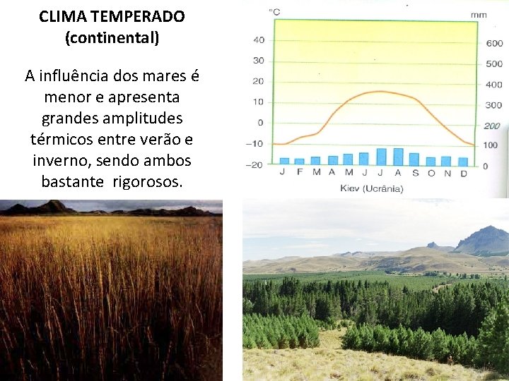 CLIMA TEMPERADO (continental) A influência dos mares é menor e apresenta grandes amplitudes térmicos