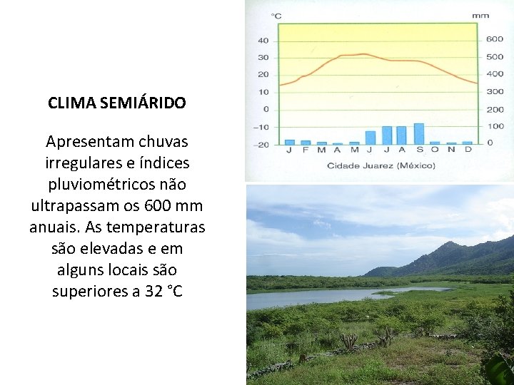 CLIMA SEMIÁRIDO Apresentam chuvas irregulares e índices pluviométricos não ultrapassam os 600 mm anuais.