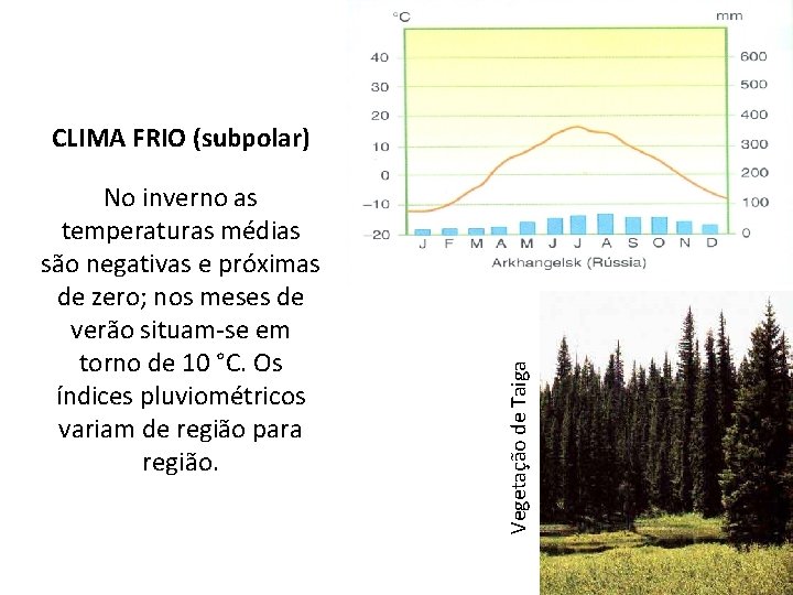 No inverno as temperaturas médias são negativas e próximas de zero; nos meses de