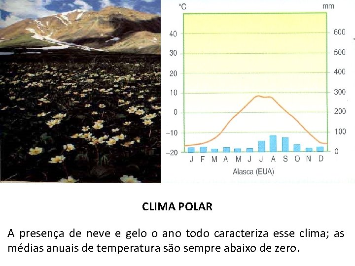 CLIMA POLAR A presença de neve e gelo o ano todo caracteriza esse clima;