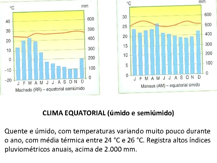 CLIMA EQUATORIAL (úmido e semiúmido) Quente e úmido, com temperaturas variando muito pouco durante
