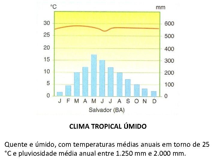 CLIMA TROPICAL ÚMIDO Quente e úmido, com temperaturas médias anuais em torno de 25