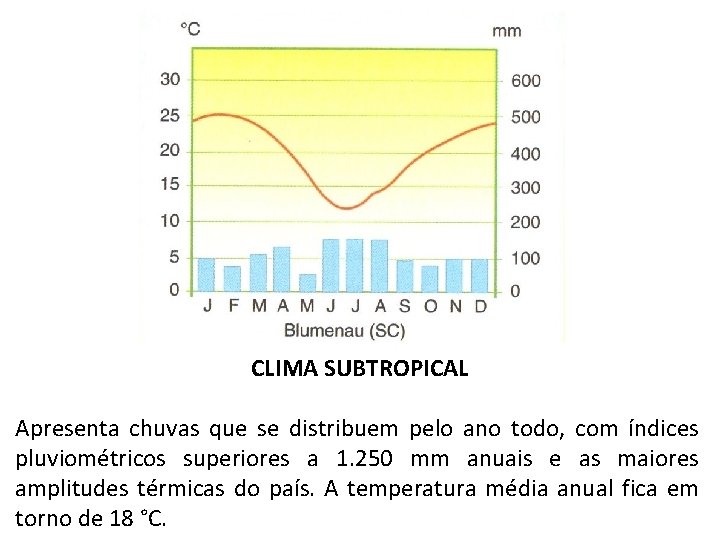 CLIMA SUBTROPICAL Apresenta chuvas que se distribuem pelo ano todo, com índices pluviométricos superiores