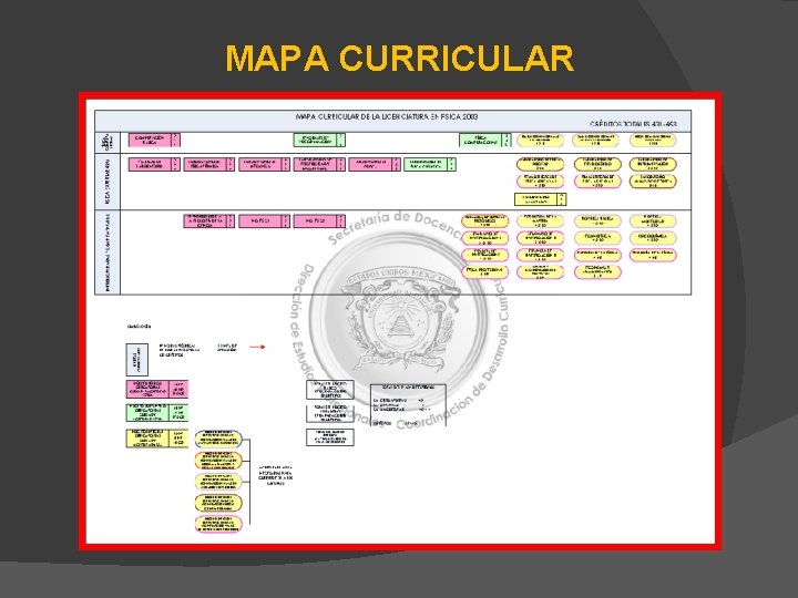 MAPA CURRICULAR 