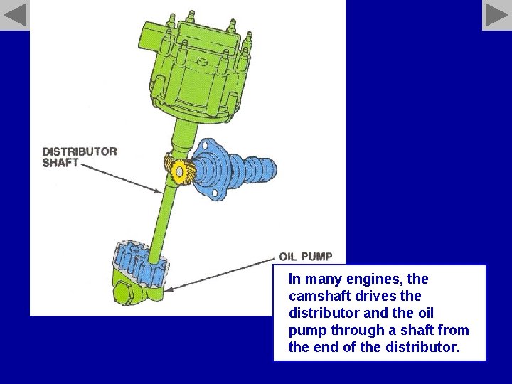 In many engines, the camshaft drives the distributor and the oil pump through a