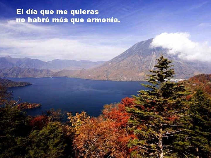 El día que me quieras no habrá más que armonía. El día que me quieras no habrá más que armonía.