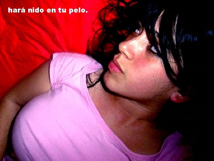 hará nido en tu pelo. hará nido en tu pelo.