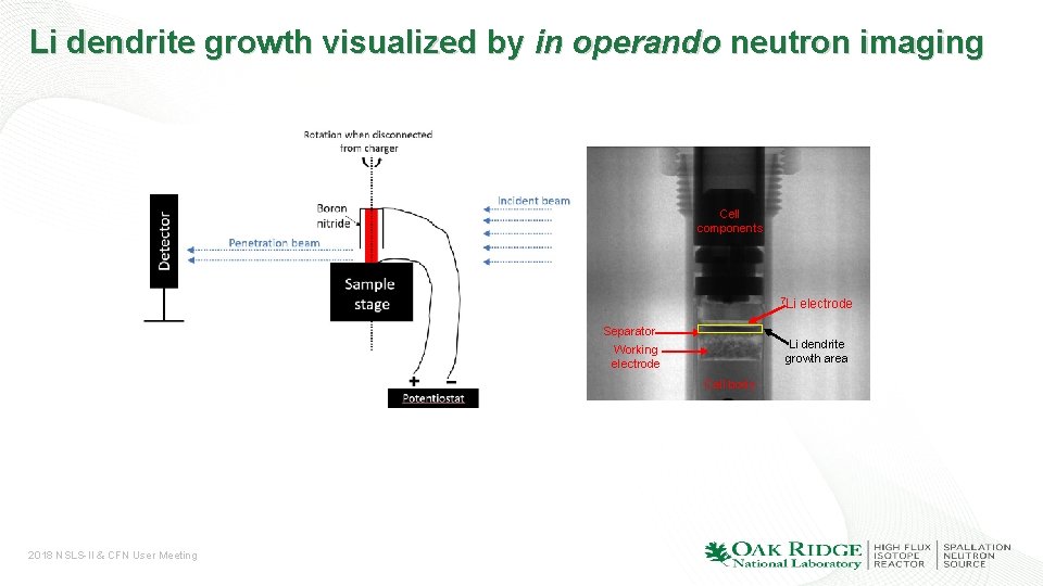 Li dendrite growth visualized by in operando neutron imaging Cell components 7 Li Separator