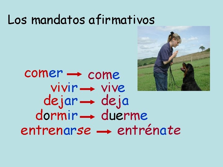 Los mandatos afirmativos comer come vivir vive dejar deja dormir duerme entrenarse entrénate 