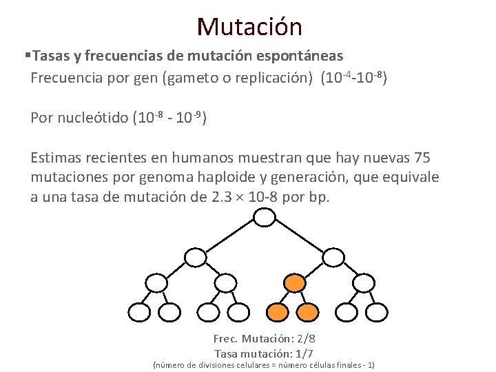 Mutación §Tasas y frecuencias de mutación espontáneas Frecuencia por gen (gameto o replicación) (10