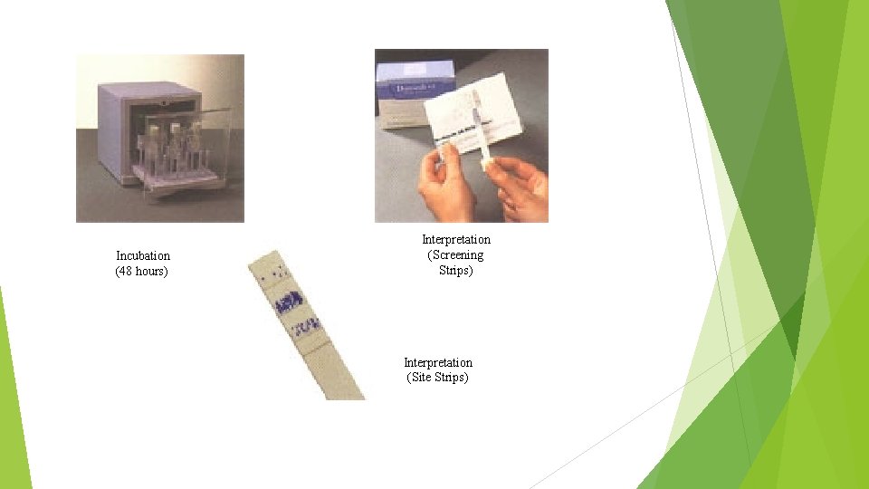 Incubation (48 hours) Interpretation (Screening Strips) Interpretation (Site Strips) 