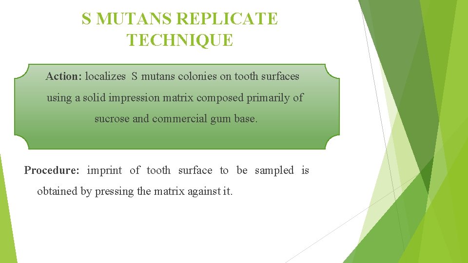 S MUTANS REPLICATE TECHNIQUE Action: localizes S mutans colonies on tooth surfaces using a