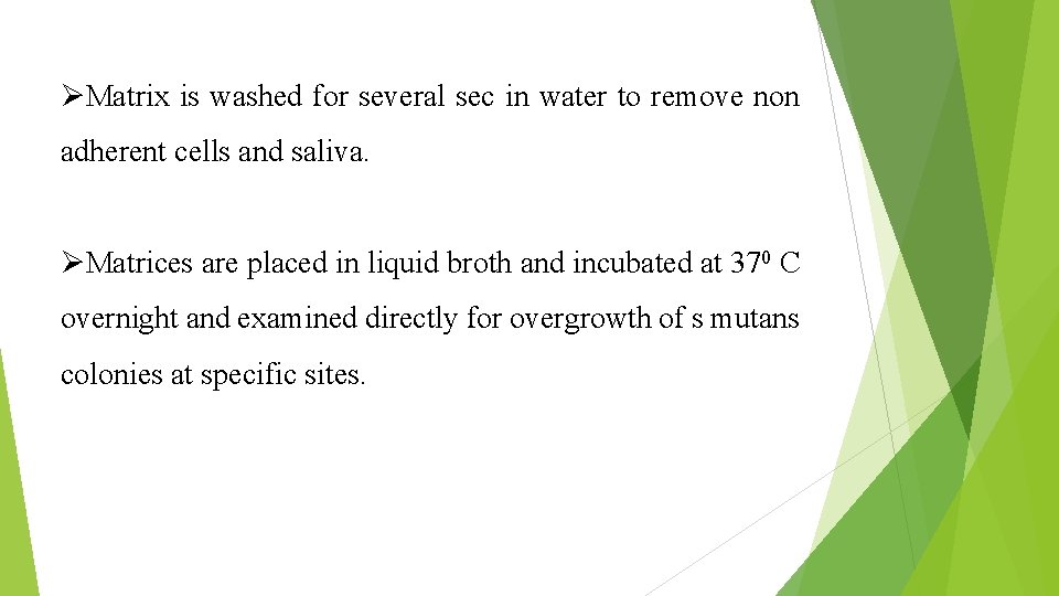 ØMatrix is washed for several sec in water to remove non adherent cells and