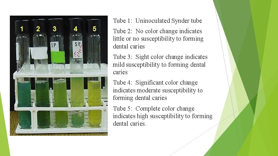 Tube 1: Uninoculated Synder tube Tube 2: No color change indicates little or no
