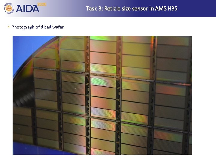 Task 3: Reticle size sensor in AMS H 35 • Photograph of diced wafer