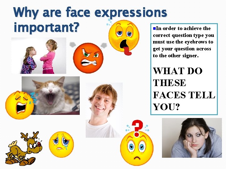 Why are face expressions In order to achieve the important? correct question type you