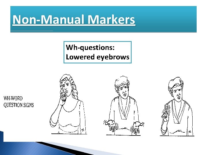 Non-Manual Markers Wh-questions: Lowered eyebrows 