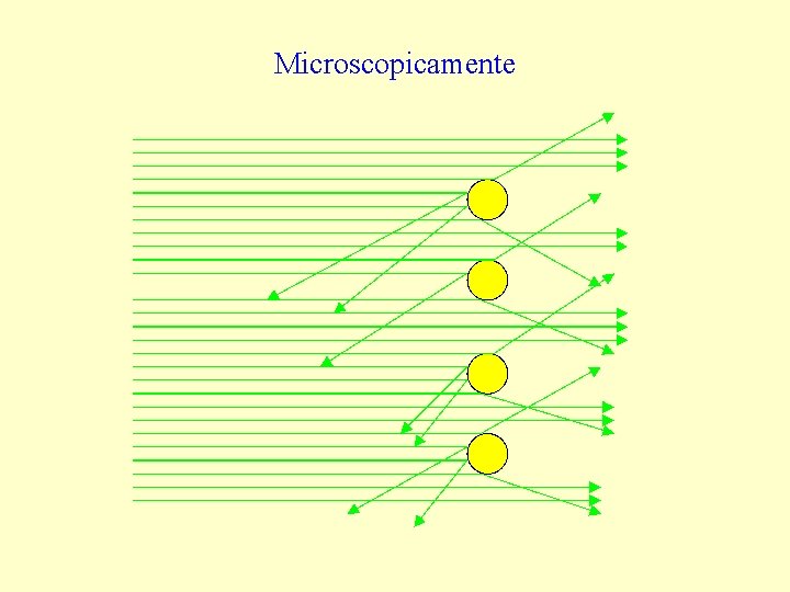 Microscopicamente 