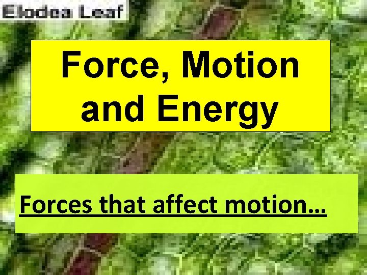 Force, Motion and Energy Forces that affect motion… 