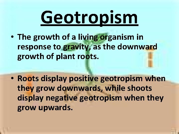 Geotropism • The growth of a living organism in response to gravity, as the