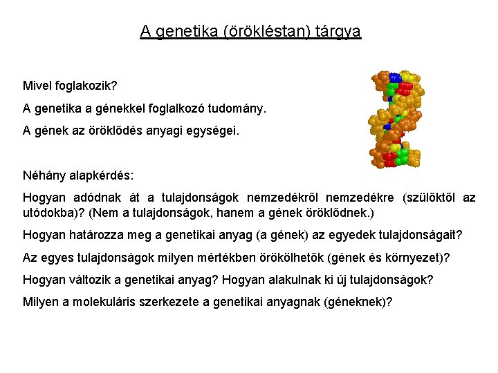 A genetika (örökléstan) tárgya Mivel foglakozik? A genetika a génekkel foglalkozó tudomány. A gének