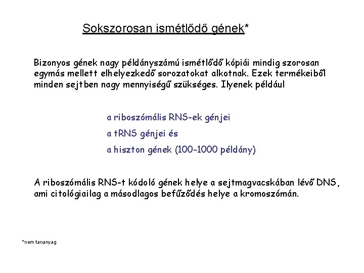 Sokszorosan ismétlődő gének* Bizonyos gének nagy példányszámú ismétlődő kópiái mindig szorosan egymás mellett elhelyezkedő