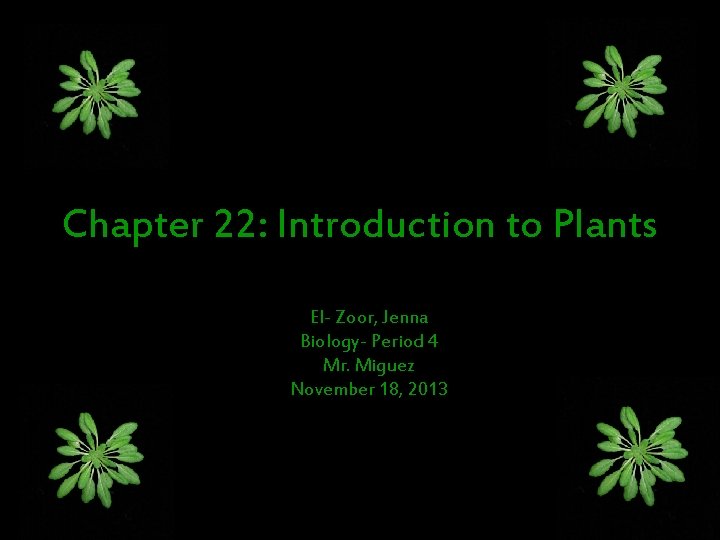 Chapter 22: Introduction to Plants El- Zoor, Jenna Biology- Period 4 Mr. Miguez November