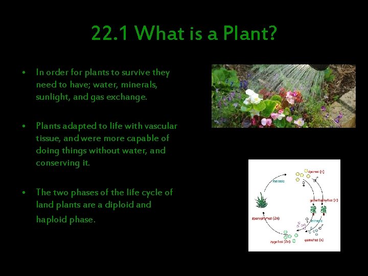 22. 1 What is a Plant? • In order for plants to survive they