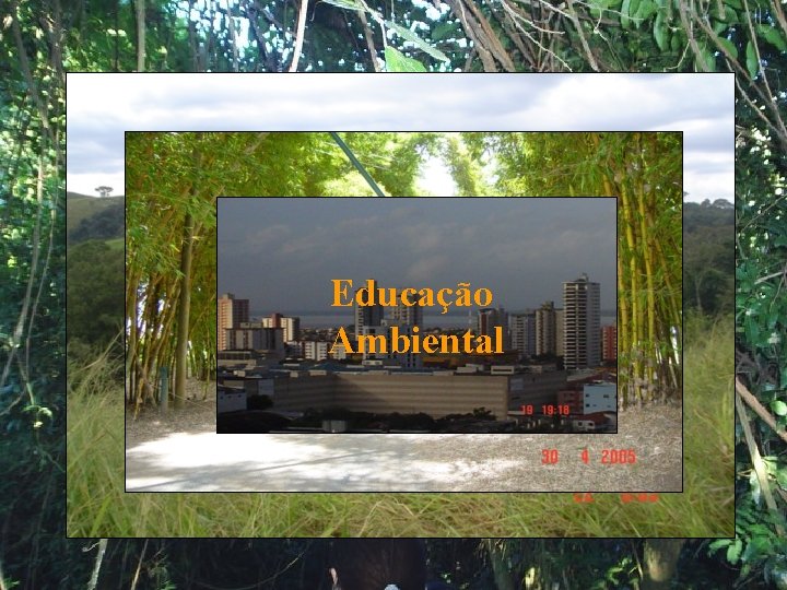 Educação Ambiental 