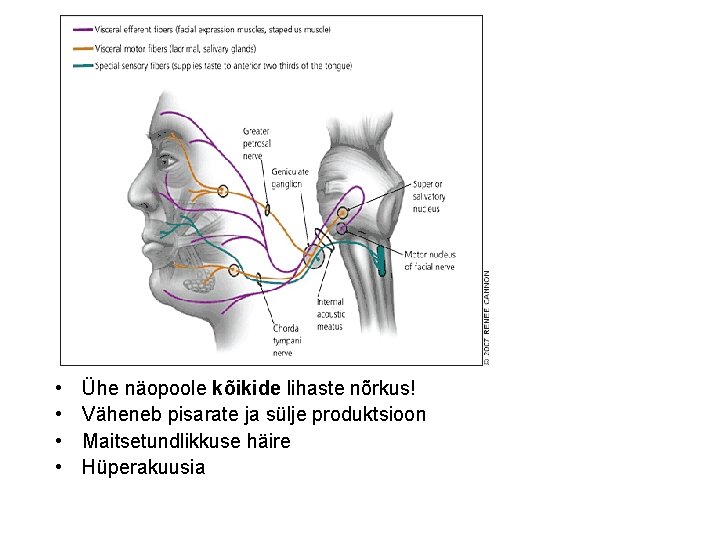 • • Ühe näopoole kõikide lihaste nõrkus! Väheneb pisarate ja sülje produktsioon Maitsetundlikkuse • • Ühe näopoole kõikide lihaste nõrkus! Väheneb pisarate ja sülje produktsioon Maitsetundlikkuse
