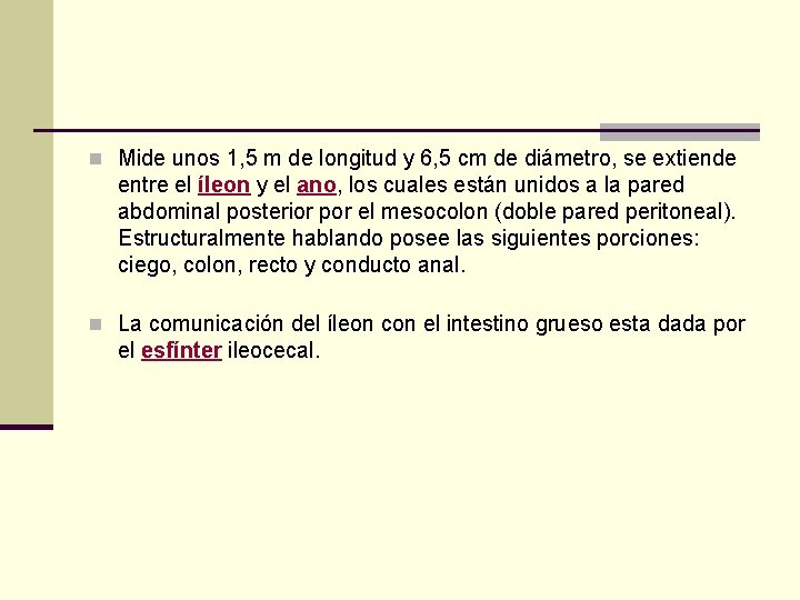 n Mide unos 1, 5 m de longitud y 6, 5 cm de diámetro,