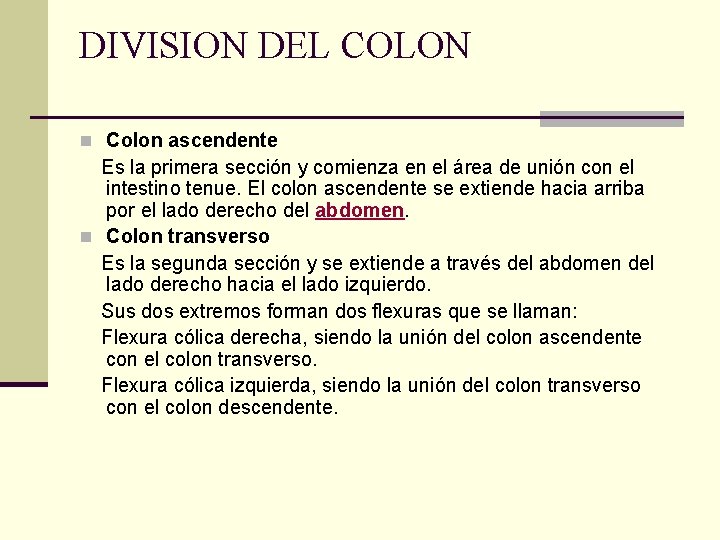 DIVISION DEL COLON n Colon ascendente Es la primera sección y comienza en el