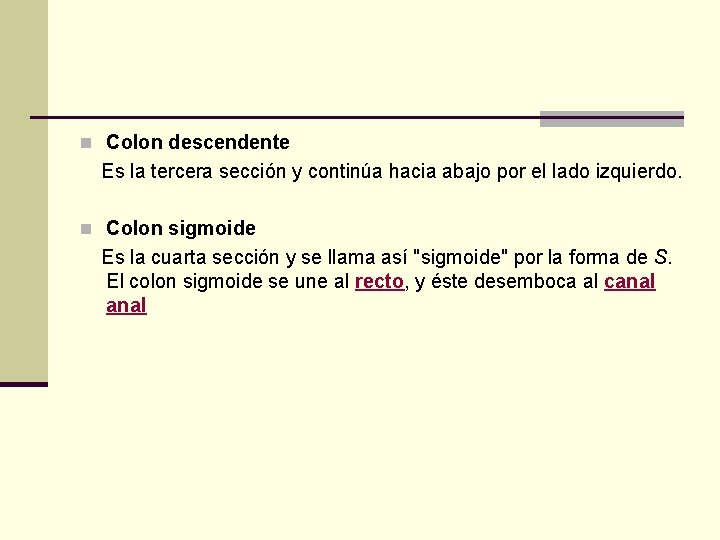 n Colon descendente Es la tercera sección y continúa hacia abajo por el lado