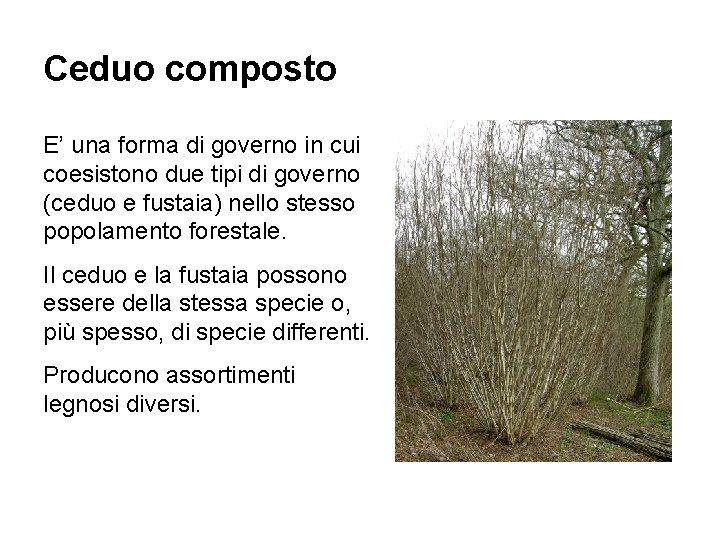 Ceduo composto E’ una forma di governo in cui coesistono due tipi di governo